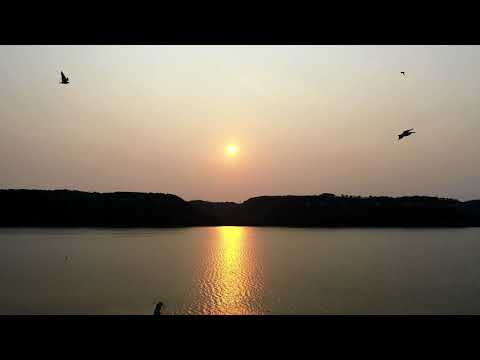 Mastodon The Sparrow Slowed And Reverb