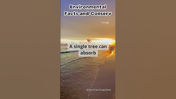 Environmental Facts and Conservation Tips №11 #facts #shorts #environment #conservation