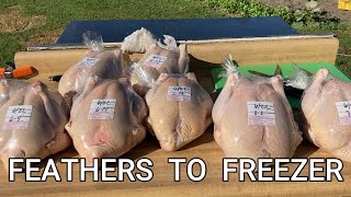 Chicken Butcher Day with the Family   Harvest-Plucker-Gut-Bag