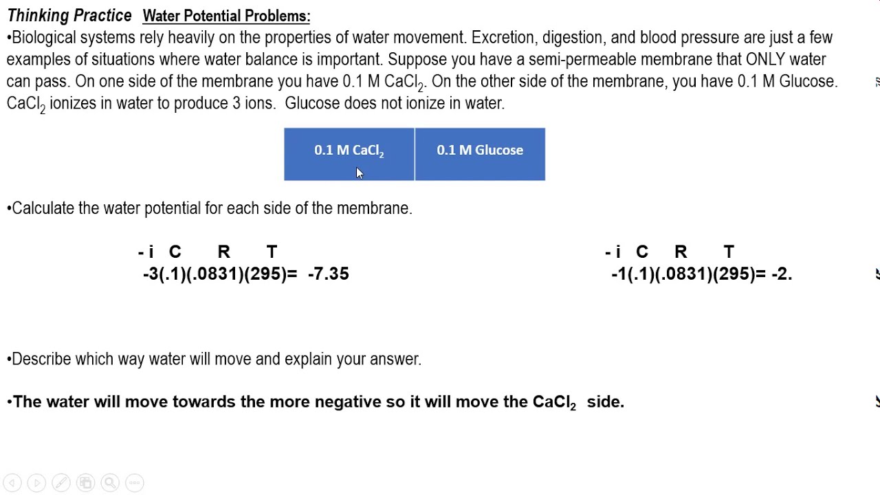 Water Potential Problems Explained - YouTube