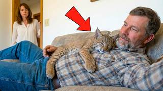 Download Lagu Man Surprises His Wife With a Rescue Bobcat Kitten — Look Who’s the “Third Wheel” Now