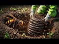 Remove Dangerous Giant Hornet Nest Behind Mountain #gianthornets