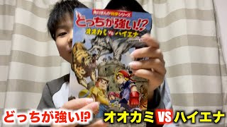 オオカミVSハイエナ どっちが強い！？