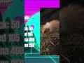Who are u pickin? #youtube #game #fun #pets #character #pickone