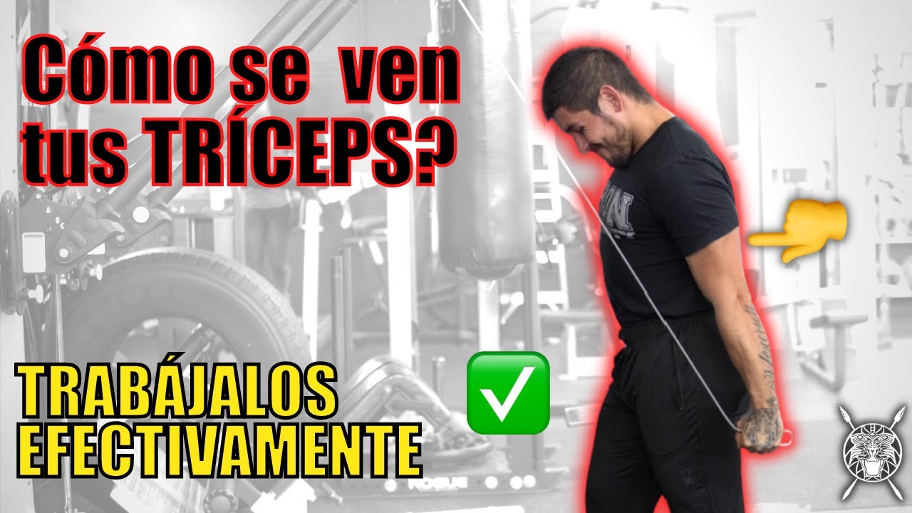 Trabaja CORRECTAMENTE tus tríceps Tutorial de Extensión de Triceps YouTube