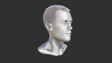 Human Head - high-poly 3D model