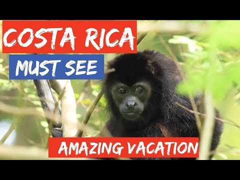 visit-costa-rica---must-watch-if-taking-a-trip-to-costa-rica-travel-vlog-traveling-wilde