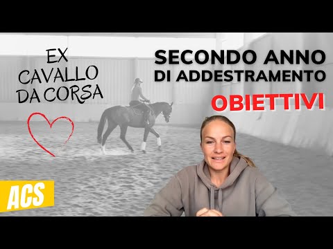 Video: I purosangue vanno bene per il dressage?