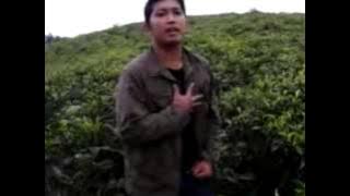 Lipsc Didi Kempot - Kebacut Tresno
