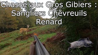 Chasse aux Gros Gibiers : Sangliers, Chevreuils, renards