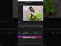 How To Create Zoom In Effect In Premiere Pro