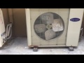 (Shown turned on and off) Carrier brand air conditioners (OUTDOOR CONDENSER UNITS)