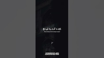 #القران_الكريم #قران_كريم #تلاوة_خاشعة #تلاوة_هادئة #ياسر_الدوسري #ماهر_المعيقلي #عبدالرحمن_مسعد