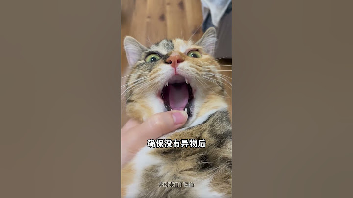 ⚠️猫咪心肺复苏术！30分钟黄金抢救‼️ #新手养猫 #养猫经验分享 #养猫攻略 #科学养猫 #养猫知识 #貓咪 #cat #萌寵