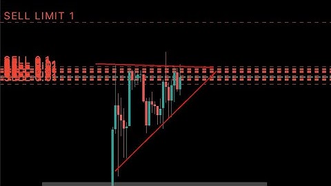 SAIGEx vs ROBOT trading, who is gonna win in 24hrs🏆 🤯 |