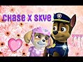 💜Гонщик и Скай💜~(•Я люблю тебя•)/♡Chase x Skye♡~(•I ♡ u•)