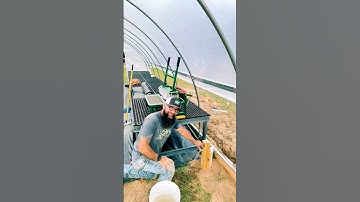 How to Rotate Your Garden Crops for the BEST Results