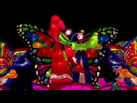 هذا الصباح - فنانون صينيون يزينون حديقة حيوانات ببلجيكا بالأضواء
