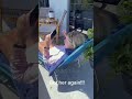 funny , scare , prank , lmao #foryou #shorts