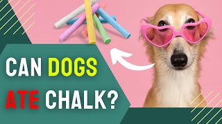 Can Dogs Ate Chalk? What You Need to Know About Dogs and Chalk Consumption by Charming Pet Guru Official 35 views 3 months ago 11 minutes, 34 seconds