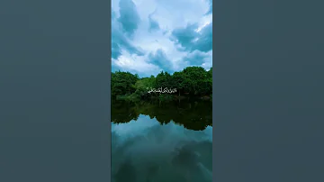 وإذ قال إبراهيم رب أرني كيف تحيي الموتى عبد الله محمد شعبان قرأن كريم قران كريم اكسبلور 