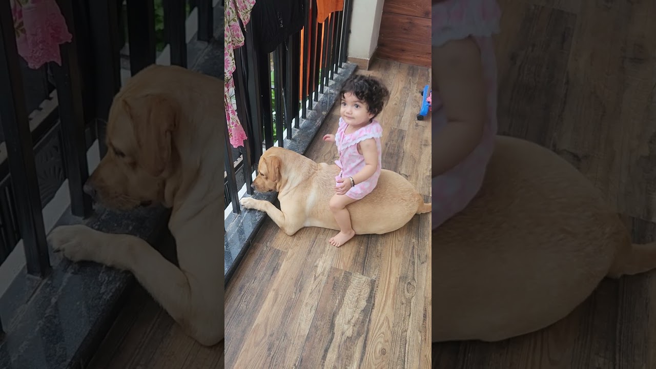 Baby vlog #vlog #dog #shorts