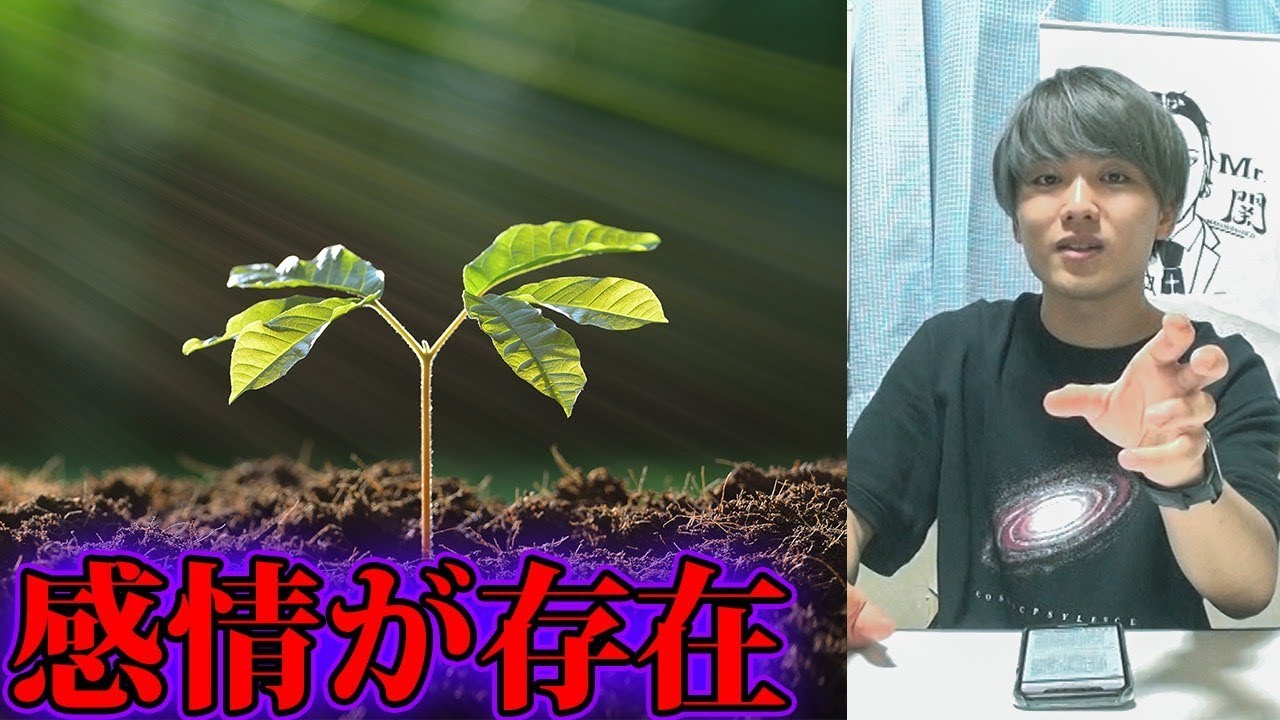 植物には知性があるのでしょうか？コーネル大学の研究によると、可能性はあります。