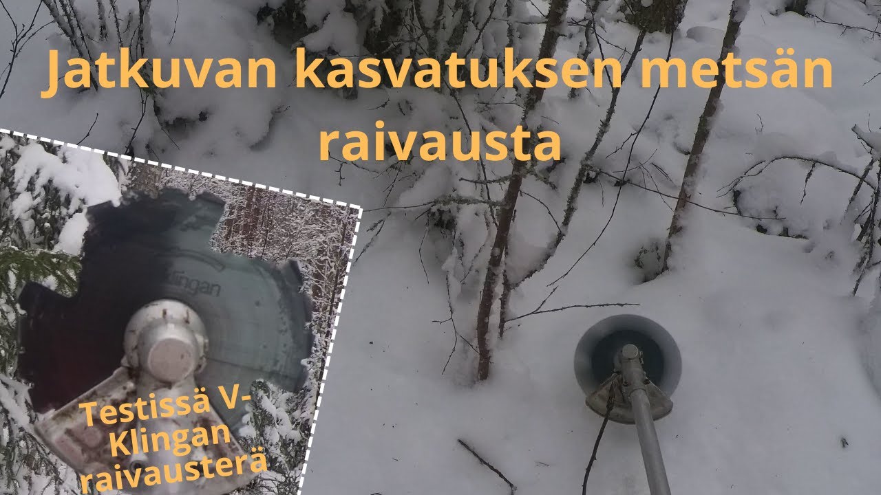 Jatkuva kasvatus poimintahakkuun ennakkoraivaus / alemman jakson hoito. Lassila Satakunta