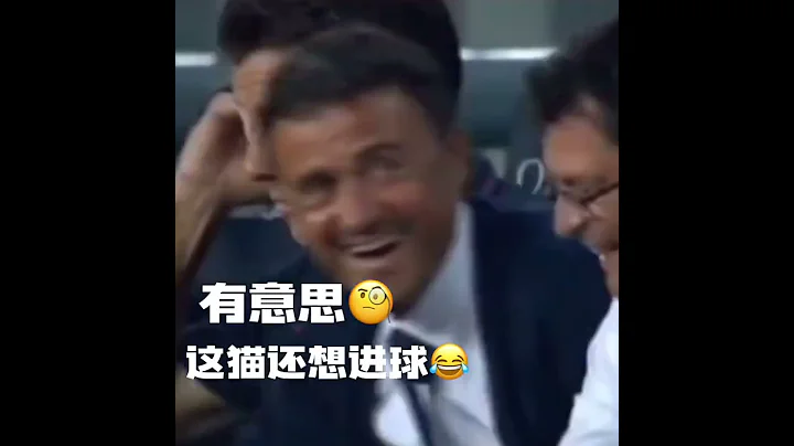我说咋这么强，原来是梅西养的猫 ，那没事了 - 天天要闻