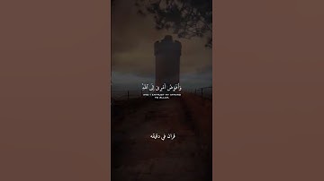 قران كريم ارح قلبك #قران_في_دقيقة #رعد_الكردي #quran #المصحف #قران @قران_في_دقيقة