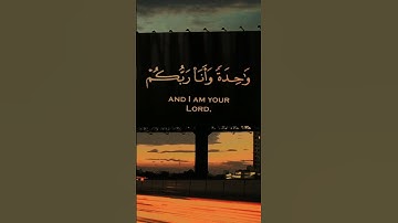 سورة الأنبياء للشيخ خالد الجليل من رمضان 1438 تلاوة حزينة خاشعة