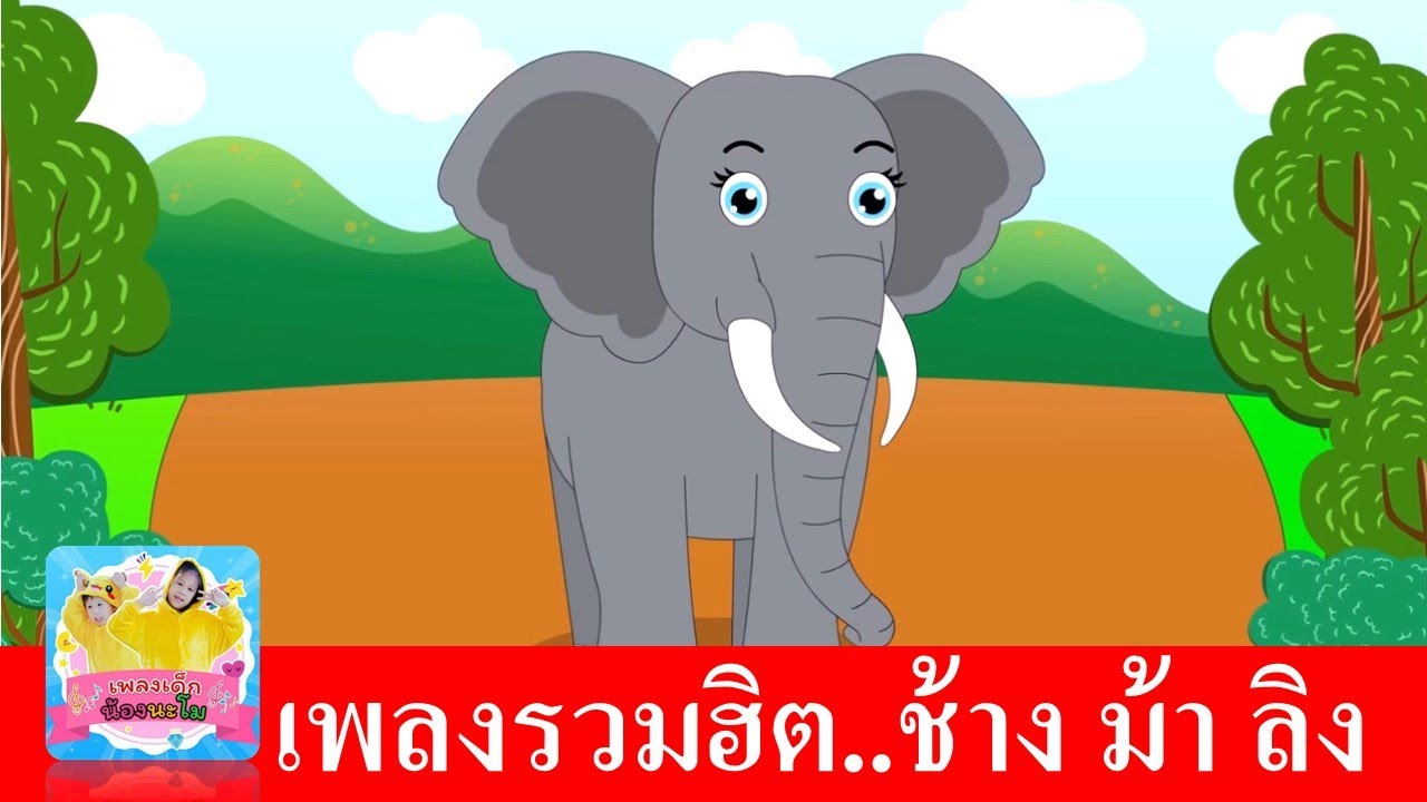 เพลงช้าง เพลงม้า เพลงลิง | สื่อการเรียนรู้ สัตว์เลี้ยงลูกด้วยนม | รวมฮิตเพลงเด็ก