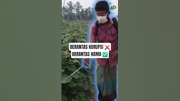 Berantas Korupsi atau Berantas Hama?