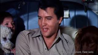 A Dog&#39;s Life - Elvis Presley (Sottotitolato)