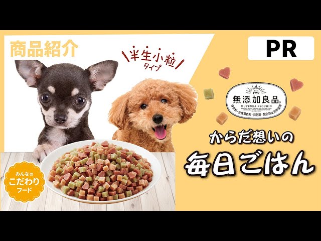 PR商品紹介】????ドギーマン 無添加良品からだ想いの毎日ごはん - YouTube PR商品紹介】????ドギーマン 無添加良品からだ想いの毎日ごはん - YouTube