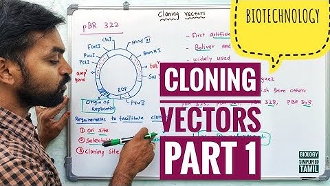 Cloning Vectors | Part 1 | Biotechnology | V Senthilnathan