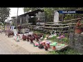 Vivero y artesanías para darle un toque de vida a tú jardín