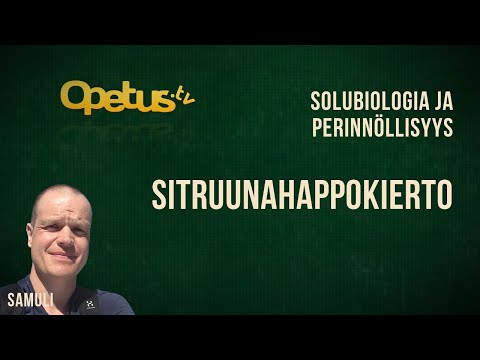 Video: Missä solun osassa soluhengitys tapahtuu?