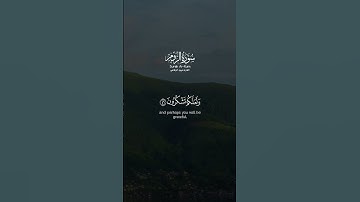 #القارئ #نبيل_الرفاعي #سورة_الروم #قران_كريم_راحه_نفسيه #yasseraldossary #راحة_نفسية