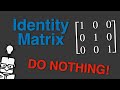 The Identity Matrix - Explained