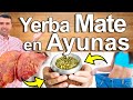 Rejuvenece con yerba mate  para qu sirve  beneficios para tu salud y belleza del t en ayunas