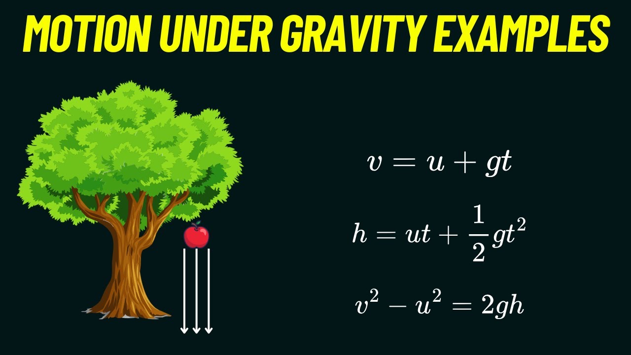 Motion under The Gravity | Problems | Kinematics - YouTube