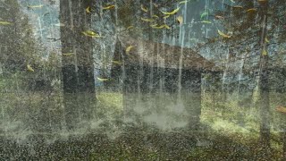 What a heavy rainy night, Rainy night in the forest, Sleep immediately with rain and thunder sounds by What GoAhead-Sleep 3,047 views 3 years ago 29 minutes