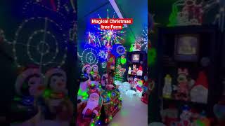 Magical Christmas tree farm & shop #shorts