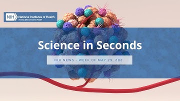 NIH Science in Seconds - Week of May 29, 2023