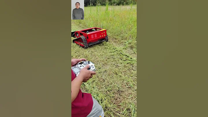 China lawn trimmer with best price for sale buy online