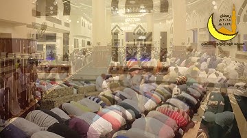 | ليلة ١٦ رمضان | صلاة التروايح القارئ عبدالله فاروق