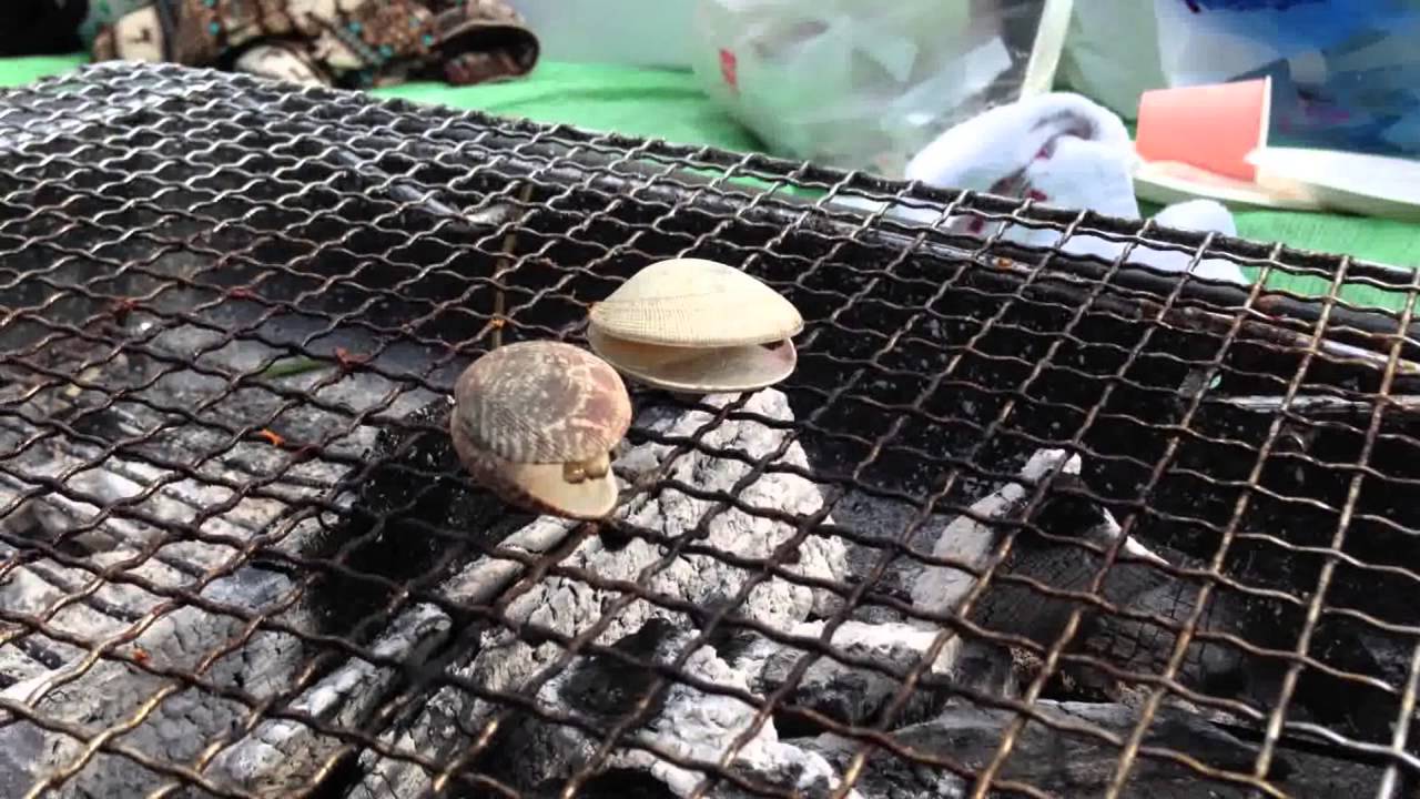 バーベキュー アサリを浜焼きにしてみた q Youtube