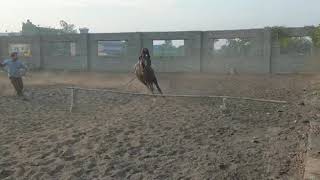 Raashi Jumping