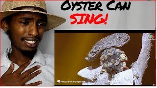 As Long As We Will Become The Dust - Oyster Masked | THE MASK SINGER 2 Reaction
